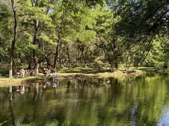 -长白岛森林公园