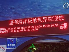 -蓬莱欧乐堡海洋极地世界