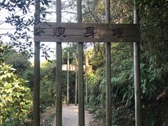 -南丹山森林王国