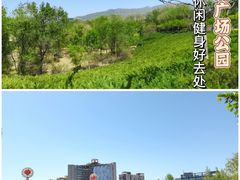 -滨河世纪广场公园