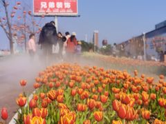 -美心红酒小镇游乐园