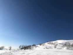 -大秃顶子山