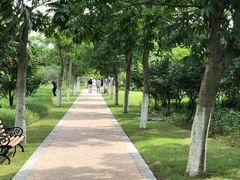 -昆山城市生态森林公园