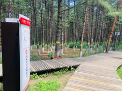 -帽儿山国家森林公园