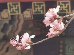 -颐和园