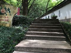 -上海佘山国家森林公园天马山园