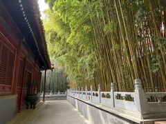 -潭柘寺景区