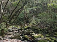 -关门山森林公园