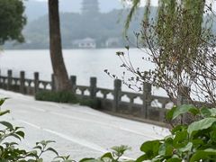 -杭州西湖柳莺里酒店