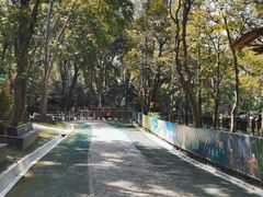 -WeLope紫金山探险公园