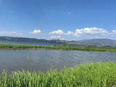 -洱海月湿地公园