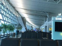 -乐天免税店(仁川国际机场店)