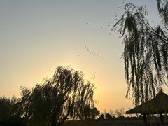 -苏州湾·王焰温泉