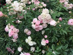 -人民公园(罗湖区)