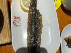 -本色.小马哥烧烤(五一路总店)