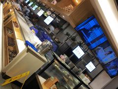 -龙抄手食府(浣花北路店)