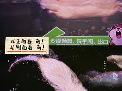 -正佳雨林生态植物园