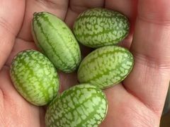 -水果立方果然鲜(升平路店)