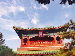 -天津大悲禅院