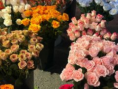 -循礼门鲜花花市(武汉循礼门店)