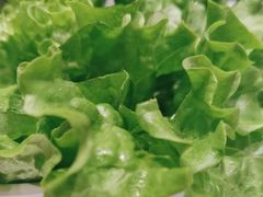 -韩时烤肉(丰科万达广场店)