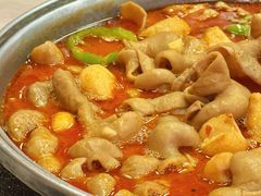 -彭记铁锅肥肠(东四总店)