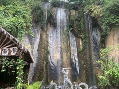 -西双版纳原始森林公园