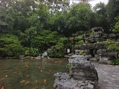 -柳侯公园