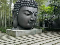 -杭州植物园