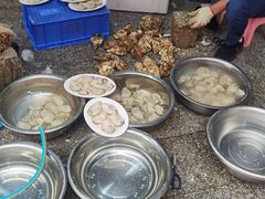-花苑美食横琴生蚝火锅(拱北粤华路店)