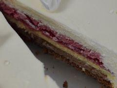 -BLACKSWAN黑天鹅(环球店)
