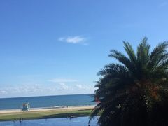 -采悦轩中餐厅·粤菜·海南菜(神州半岛喜来登度假酒店)