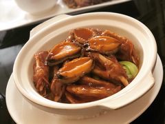 鲍鱼扣鹅掌-72号海鲜私房菜