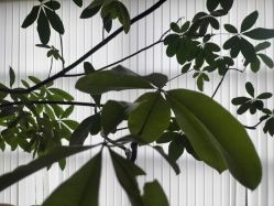 -阿南达·瑜伽普拉提·阿育吠陀疗愈中心