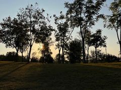 -盘龙城国家考古遗址公园