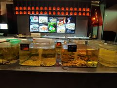 -张生记(双菱店)