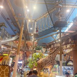 -卡通尼·Safari非洲探索乐园·生日会(金桥国际商业广场店)