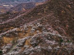 -龙泉峪长城