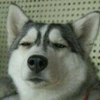 -冠军冰场(环球中心店)