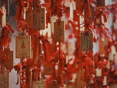 -乌镇景区