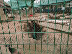 -武汉紫薇都市田园