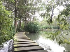 -桤木河湿地公园