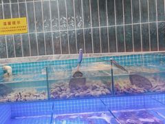 -海韵之星邮轮水会(明发商业广场店)