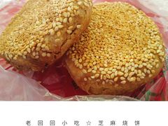 -老回回饺子馆(海洋馆店)