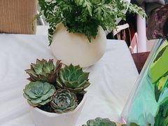 -Flower in(密渡桥店)