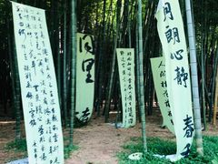 -同里国家湿地公园