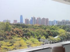 -百年果林椰子鸡(中洲店)