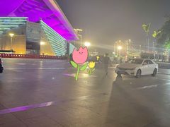 -深圳市宝安体育中心体育场