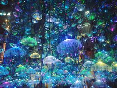 -天津梵高星空艺术馆(天河城旗舰店)