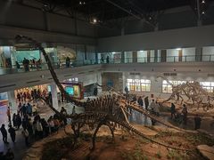 -自贡恐龙博物馆